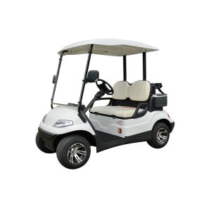 Avant 2 - Golf Cart