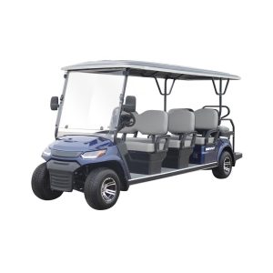 Luxe 6+2 - Golf Cart